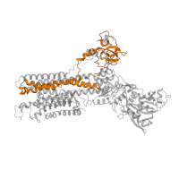 The deposited structure of PDB entry 3j7t contains 1 copy of Pfam domain PF00122 (E1-E2 ATPase) in Sarcoplasmic/endoplasmic reticulum calcium ATPase 1. Showing 1 copy in chain A.