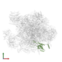 Large ribosomal subunit protein bL28m in PDB entry 3j7y, assembly 1, front view.