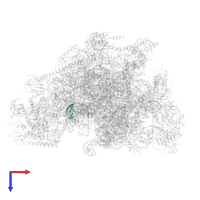 Large ribosomal subunit protein bL36m in PDB entry 3j7y, assembly 1, top view.