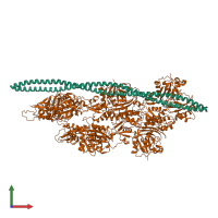 Hetero heptameric assembly 1 of PDB entry 3j8a coloured by chemically distinct molecules, front view.
