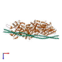 Hetero heptameric assembly 1 of PDB entry 3j8a coloured by chemically distinct molecules, top view.