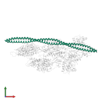 tropomyosin alpha-1 in PDB entry 3j8a, assembly 1, front view.