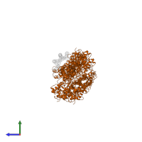 Actin, alpha skeletal muscle in PDB entry 3j8a, assembly 1, side view.