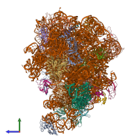 PDB entry 3j8g coloured by chain, side view.