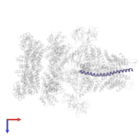 Vesicle-associated membrane protein 2 in PDB entry 3j96, assembly 1, top view.