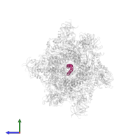 Syntaxin-1A in PDB entry 3j96, assembly 1, side view.