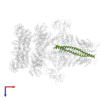 Synaptosomal-associated protein 25 in PDB entry 3j96, assembly 1, top view.
