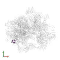 Large ribosomal subunit protein mL49 in PDB entry 3j9m, assembly 1, front view.