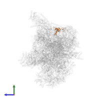 Small ribosomal subunit protein uS17m in PDB entry 3j9m, assembly 1, side view.