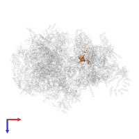 Small ribosomal subunit protein uS17m in PDB entry 3j9m, assembly 1, top view.