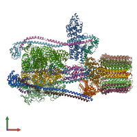 PDB entry 3j9v coloured by chain, front view.