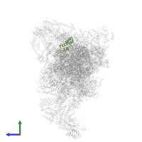 KLLA0B01562p in PDB entry 3jap, assembly 1, side view.