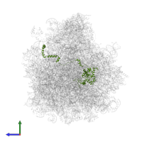 Large ribosomal subunit protein uL4 C-terminal domain-containing protein in PDB entry 3jbn, assembly 1, side view.