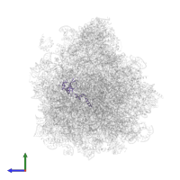 40S ribosomal protein S23, putative in PDB entry 3jbp, assembly 1, side view.