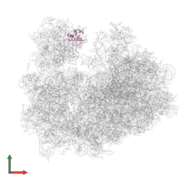 40S ribosomal protein S19 in PDB entry 3jbp, assembly 1, front view.