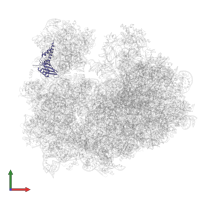 40S ribosomal protein S3 in PDB entry 3jbp, assembly 1, front view.