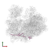 Large ribosomal subunit protein eL19 domain-containing protein in PDB entry 3jbp, assembly 1, front view.