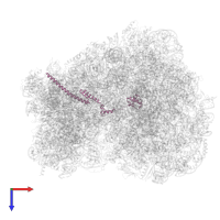 Large ribosomal subunit protein eL19 domain-containing protein in PDB entry 3jbp, assembly 1, top view.