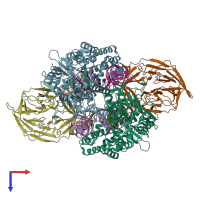 PDB entry 3jby coloured by chain, top view.