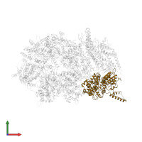 Cell division control protein 45 in PDB entry 3jc5, assembly 1, front view.