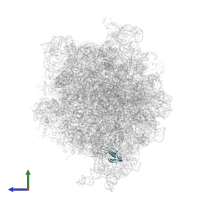 Small ribosomal subunit protein bS16 in PDB entry 3jce, assembly 1, side view.