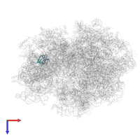 Small ribosomal subunit protein bS16 in PDB entry 3jce, assembly 1, top view.