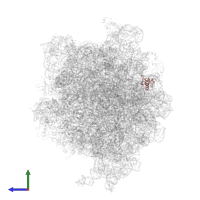 Small ribosomal subunit protein bS18 in PDB entry 3jce, assembly 1, side view.