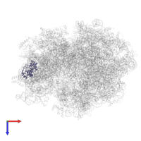 Small ribosomal subunit protein uS4 in PDB entry 3jce, assembly 1, top view.