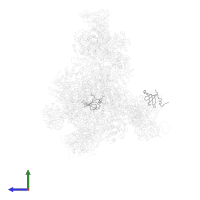Small nuclear ribonucleoprotein E in PDB entry 3jcr, assembly 1, side view.
