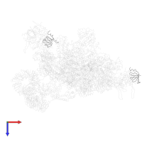 Small nuclear ribonucleoprotein F in PDB entry 3jcr, assembly 1, top view.