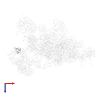 U6 snRNA-associated Sm-like protein LSm6 in PDB entry 3jcr, assembly 1, top view.