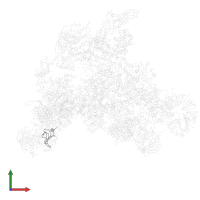 U6 snRNA-associated Sm-like protein LSm5 in PDB entry 3jcr, assembly 1, front view.