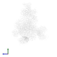 U6 snRNA-associated Sm-like protein LSm5 in PDB entry 3jcr, assembly 1, side view.