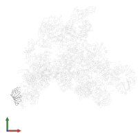 U6 snRNA-associated Sm-like protein LSm2 in PDB entry 3jcr, assembly 1, front view.