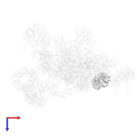 U5 small nuclear ribonucleoprotein 40 kDa protein in PDB entry 3jcr, assembly 1, top view.