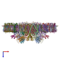 PDB entry 3jcu coloured by chain, top view.