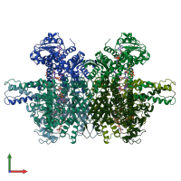 PDB entry 3jd3 coloured by chain, front view.