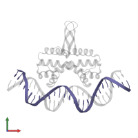 DNA (27-MER) in PDB entry 3jra, assembly 1, front view.