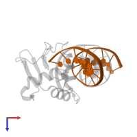 DNA (5'-D(*GP*AP*GP*GP*AP*GP*TP*TP*TP*CP*CP*TP*GP*TP*TP*T)-3') in PDB entry 3jtg, assembly 1, top view.