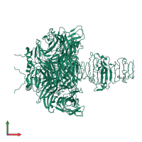 Mature tail spike protein in PDB entry 3ju4, assembly 1, front view.