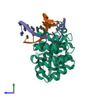 PDB entry 3jxz coloured by chain, side view.