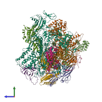 PDB entry 3k1f coloured by chain, side view.