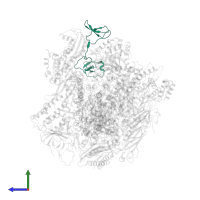 DNA-directed RNA polymerase II subunit RPB9 in PDB entry 3k1f, assembly 1, side view.