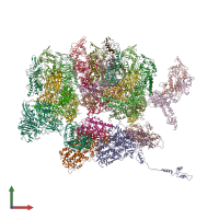PDB entry 3k1q coloured by chain, front view.