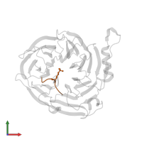 HISTONE PEPTIDE in PDB entry 3k27, assembly 1, front view.