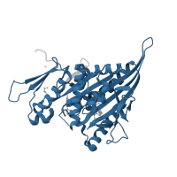 The deposited structure of PDB entry 3k3b contains 2 copies of Pfam domain PF00225 (Kinesin motor domain) in Kinesin-like protein KIF11. Showing 1 copy in chain A.