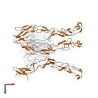 Tumor necrosis factor receptor superfamily member 6B in PDB entry 3k51, assembly 1, top view.