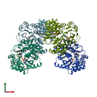 PDB entry 3k5i coloured by chain, front view.