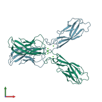 PDB entry 3k5s coloured by chain, front view.