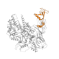 The deposited structure of PDB entry 3k7a contains 1 copy of Pfam domain PF04560 (RNA polymerase Rpb2, domain 7) in DNA-directed RNA polymerase II subunit RPB2. Showing 1 copy in chain B.
